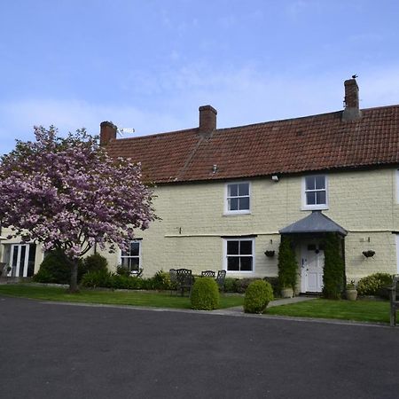 The Lawns Tea Room And B&B Ashcott Luaran gambar