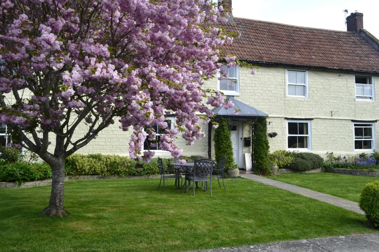 The Lawns Tea Room And B&B Ashcott Luaran gambar